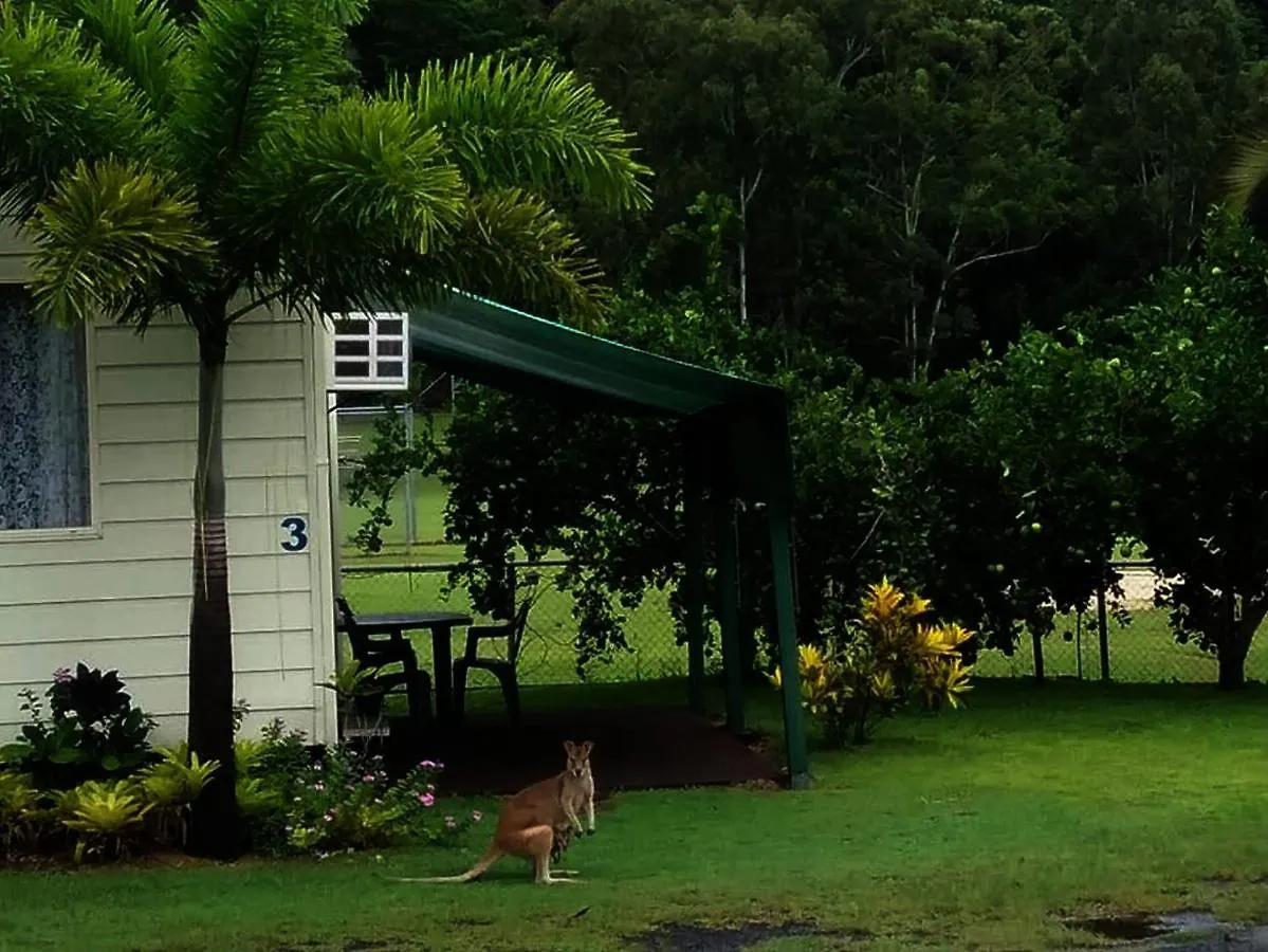 ** Holiday park Flying Fish Point Tourist Park Hotel Innisfail Australia