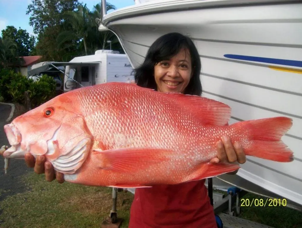 Flying Fish Point Tourist Park Hotel Innisfail